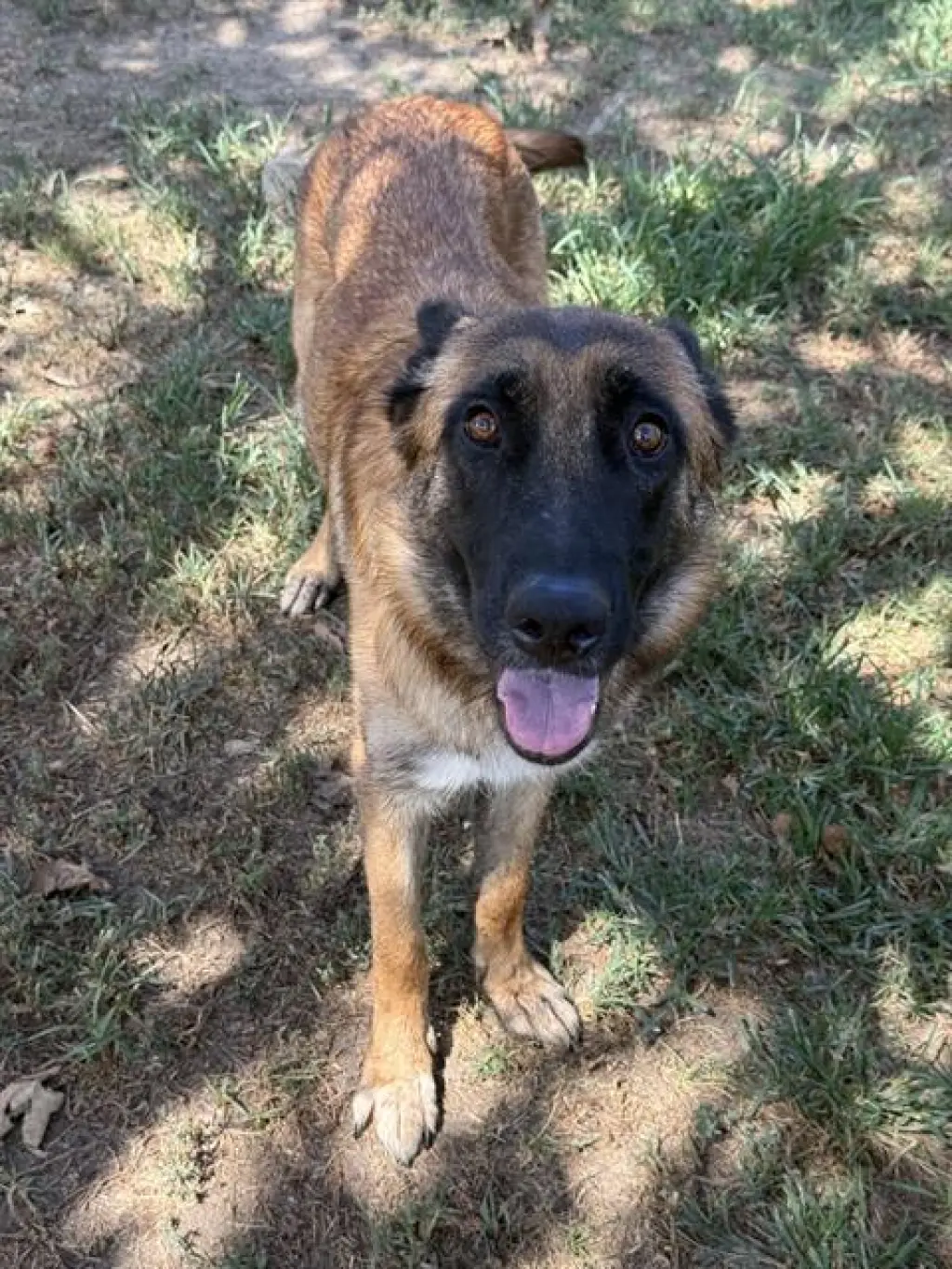 LULU