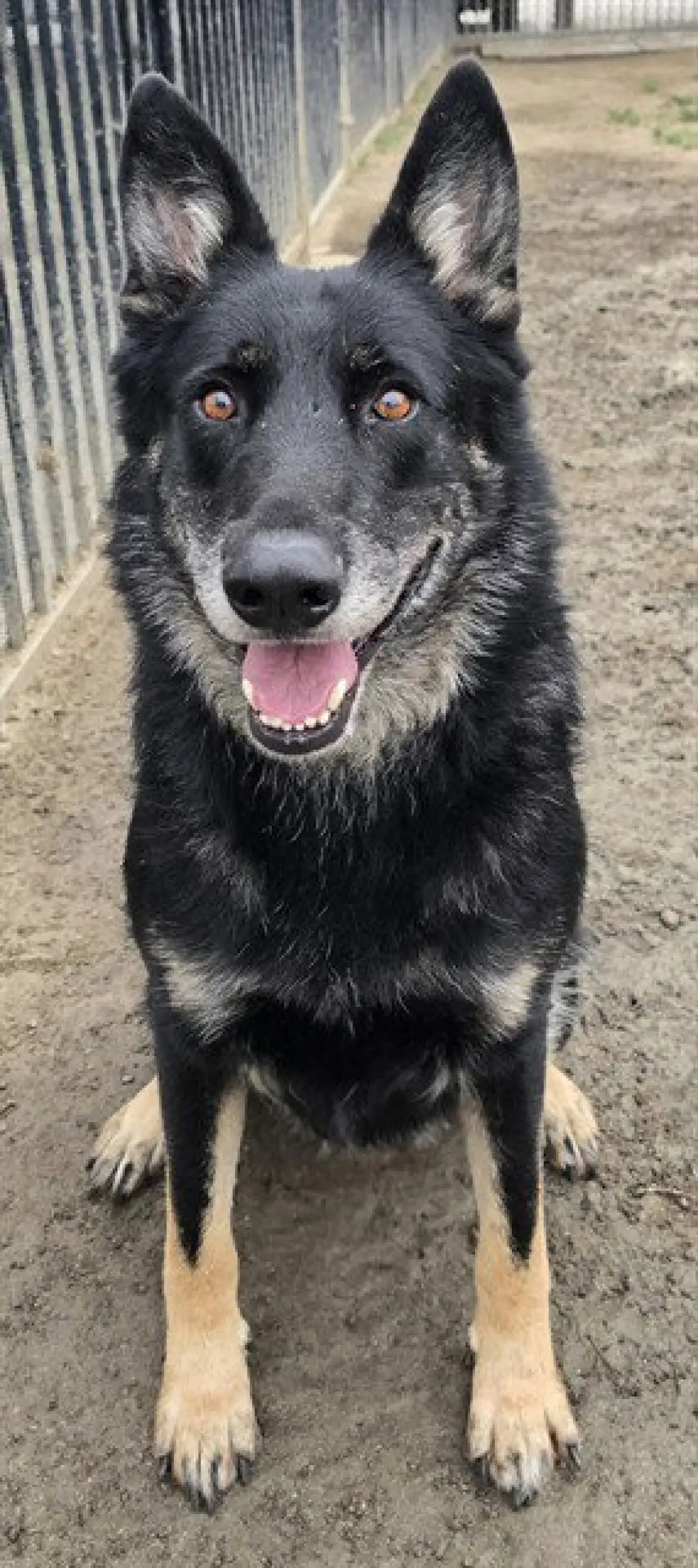 CHICO