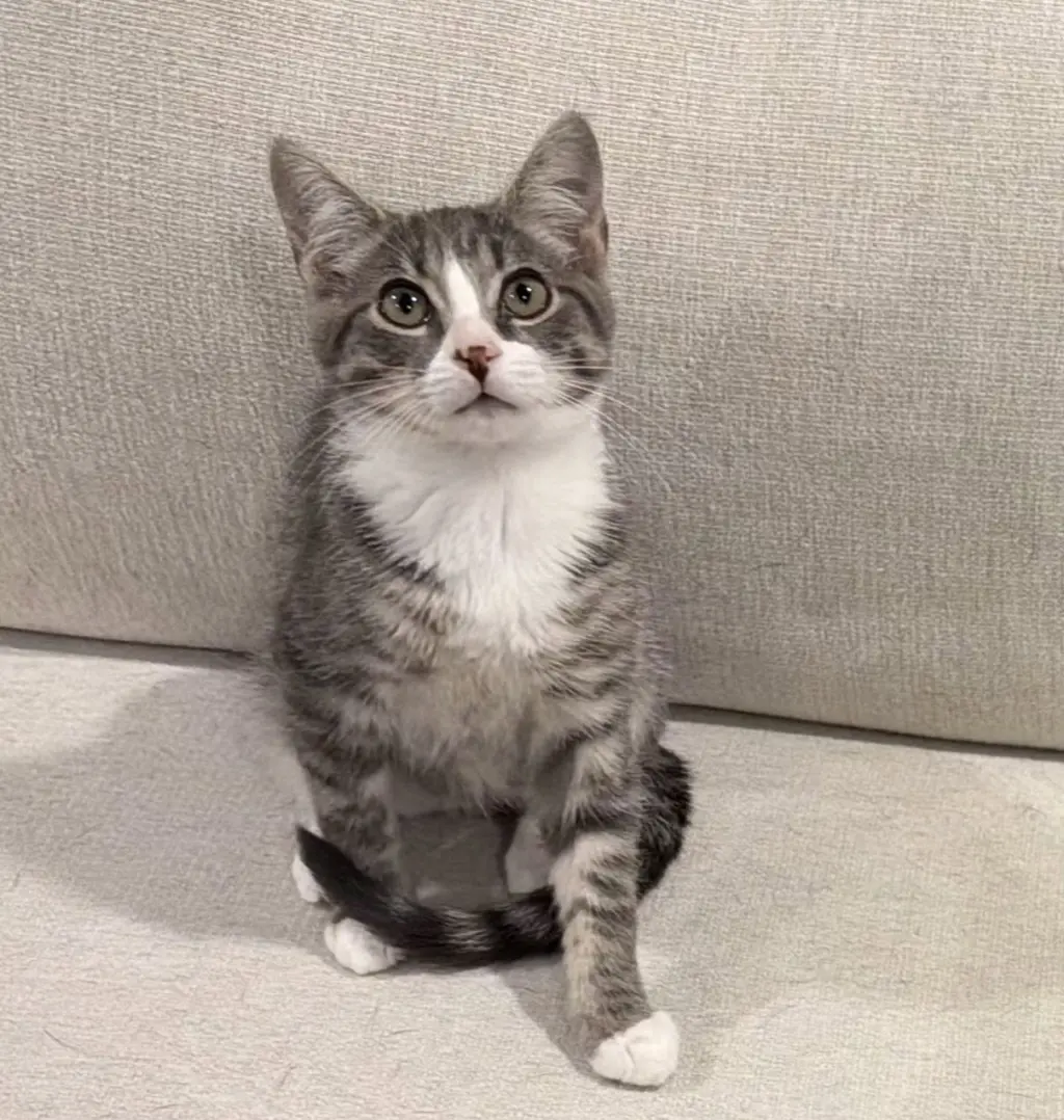 Terrance