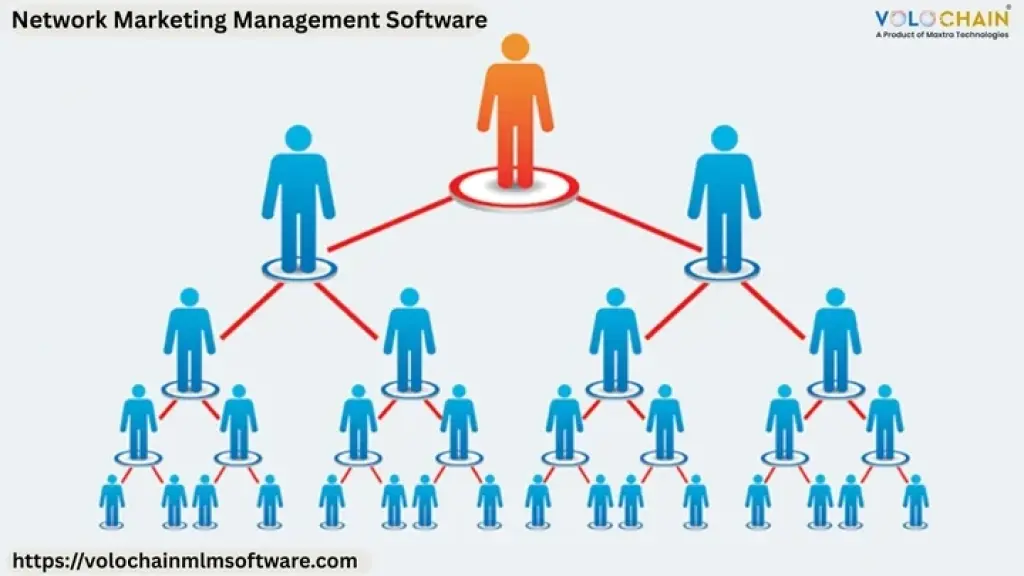 Network Marketing Management