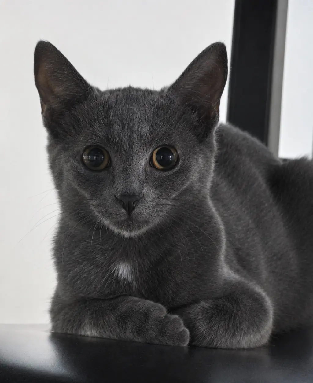 Missy