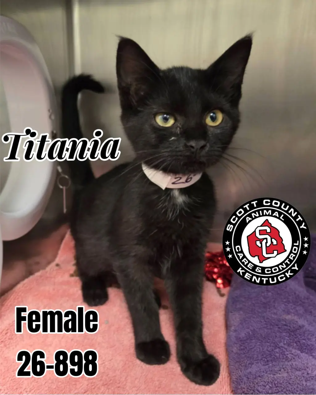 Titania