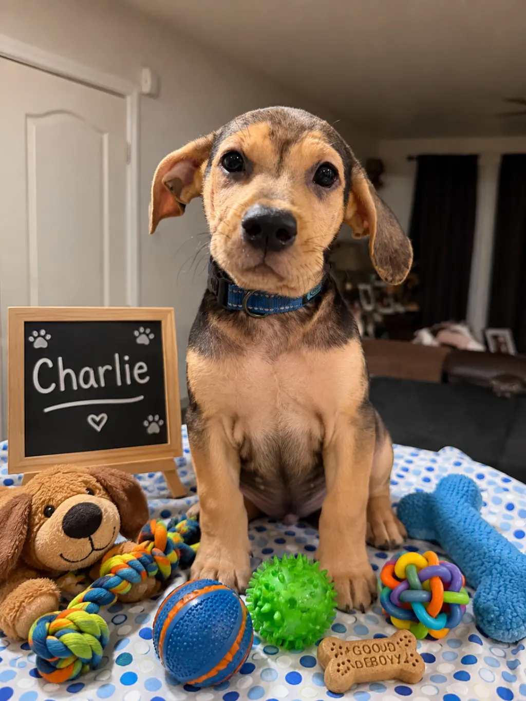 Charlie