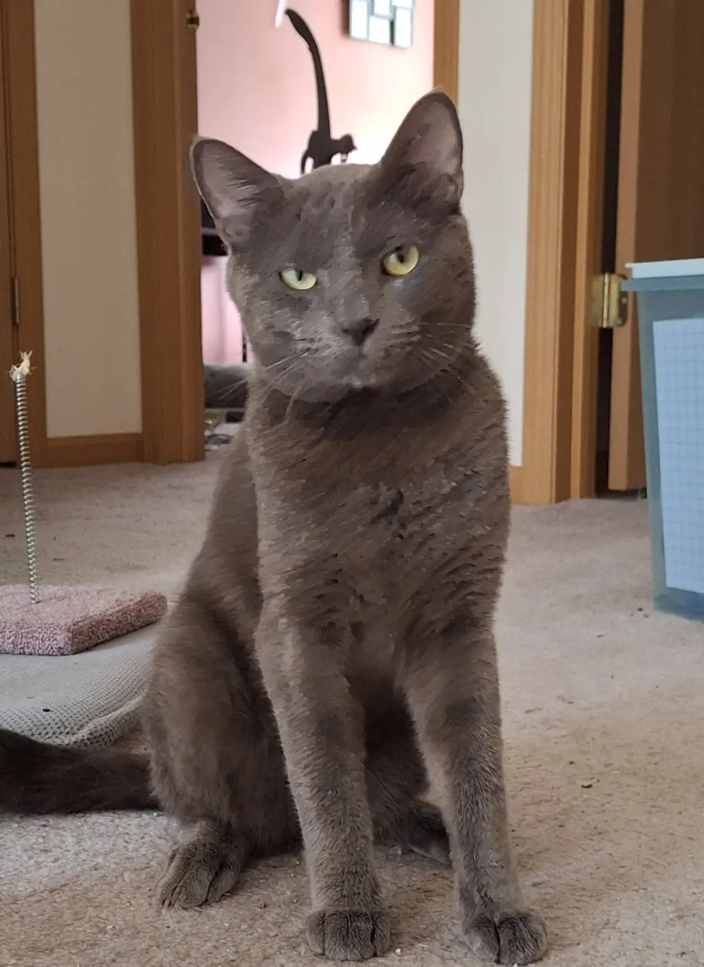 Sebastian