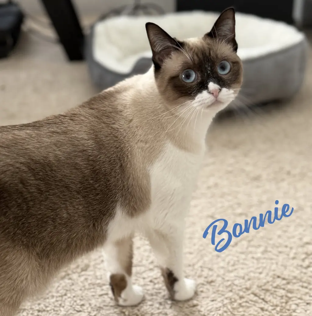 Bonnie #blue-eyes