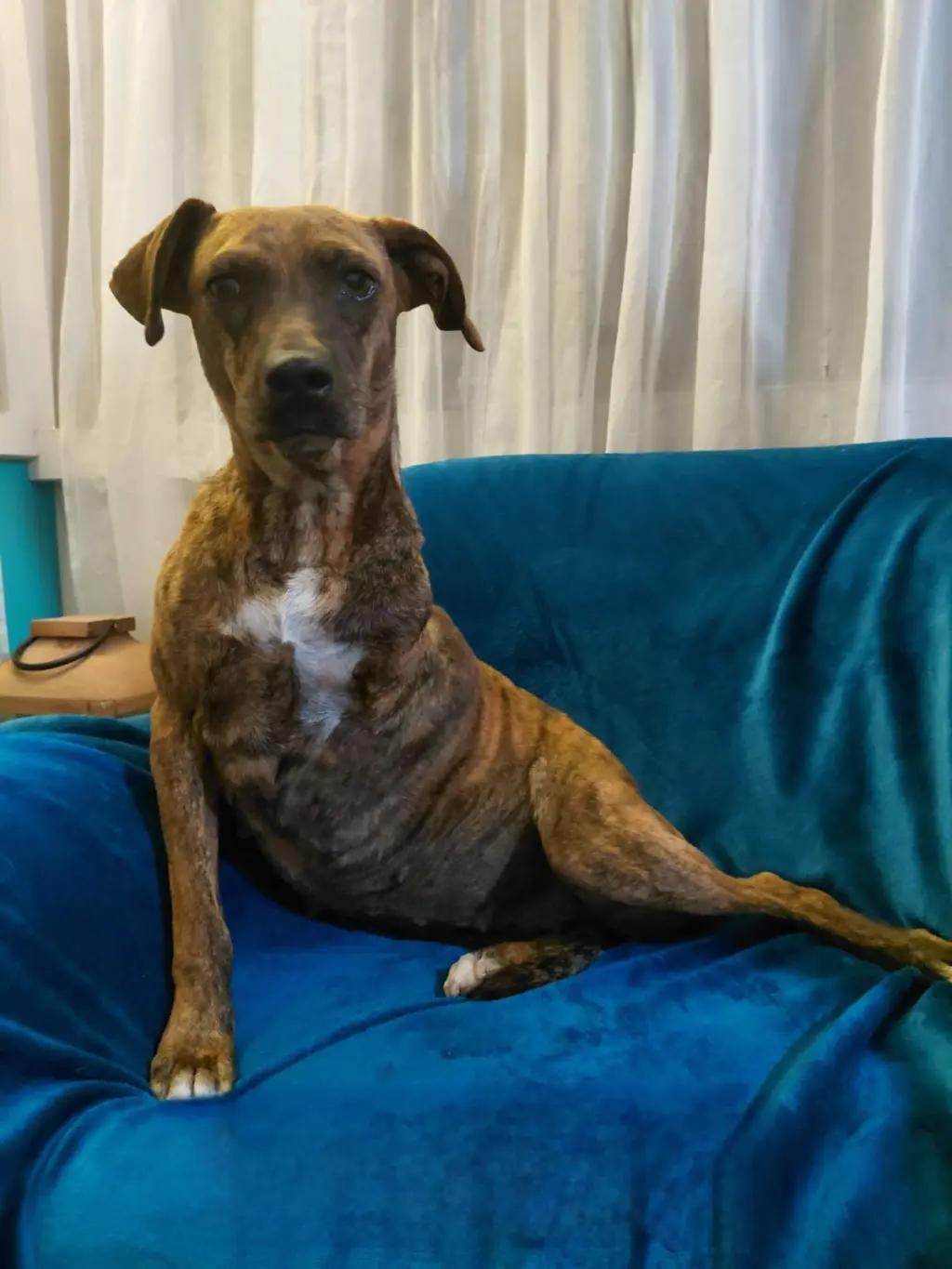 Coco