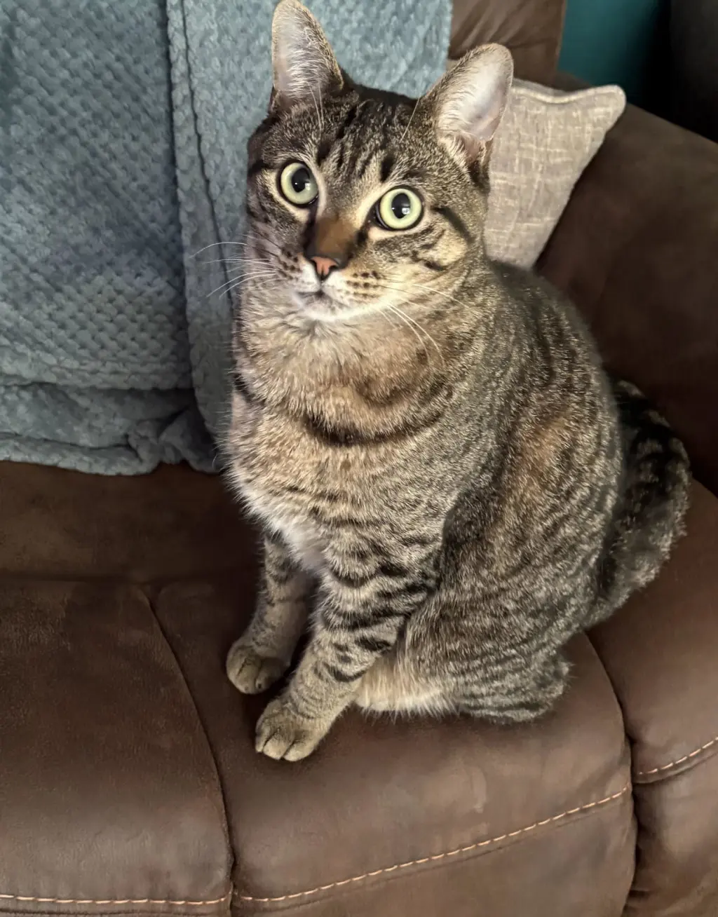 Milo