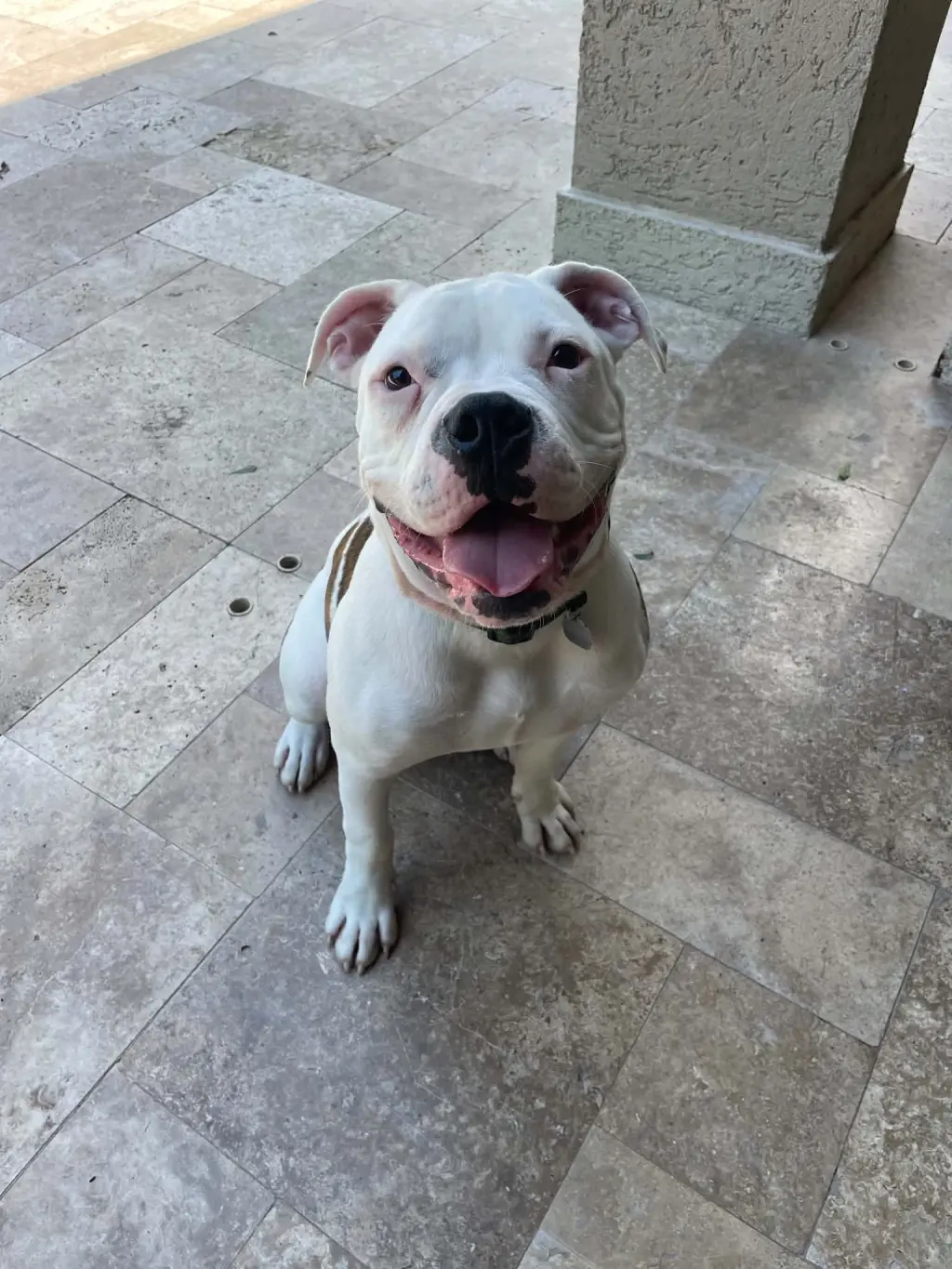 Axel