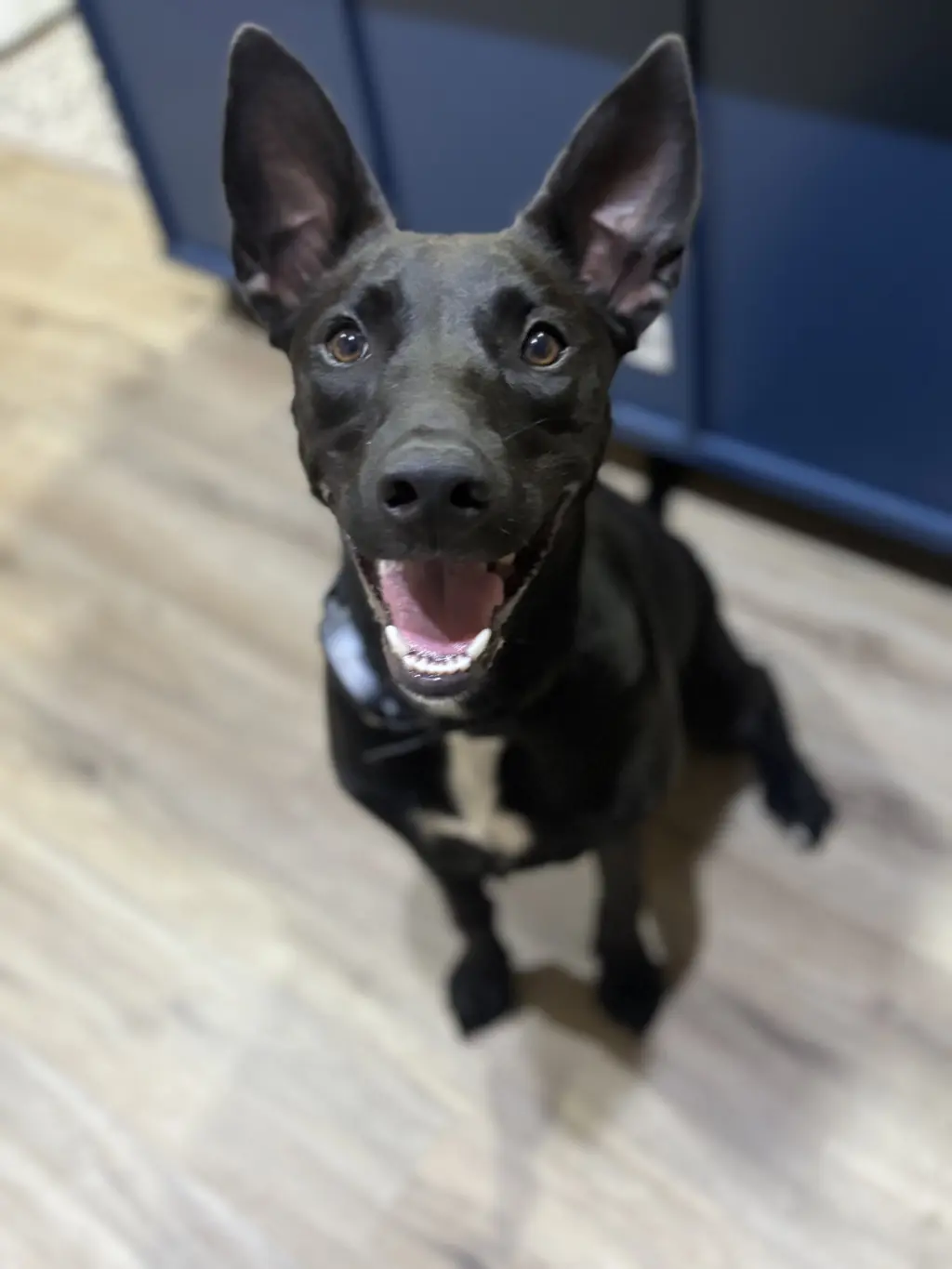 Skye