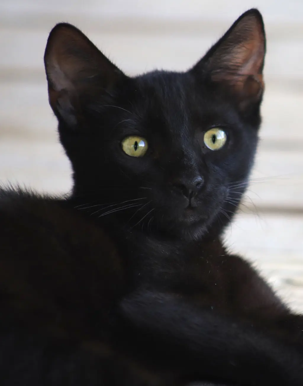 Gilligan