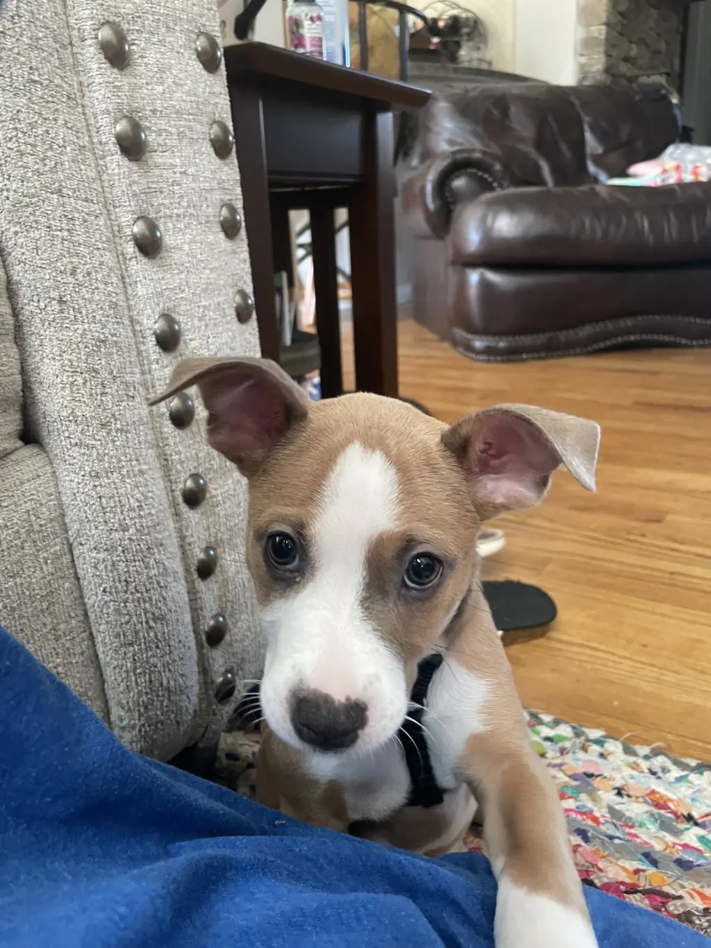 Charlie