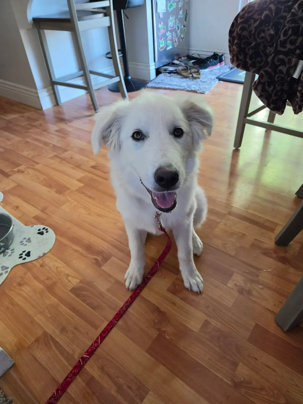 WIllow Mae