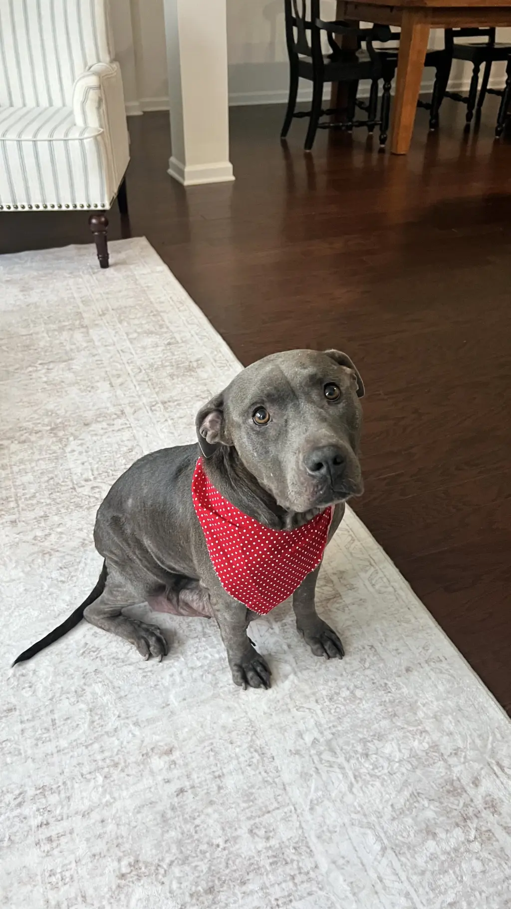 Cora