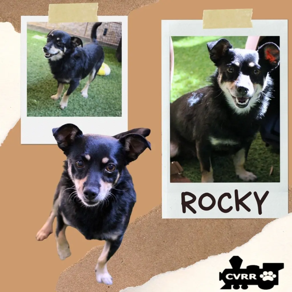 Rocky