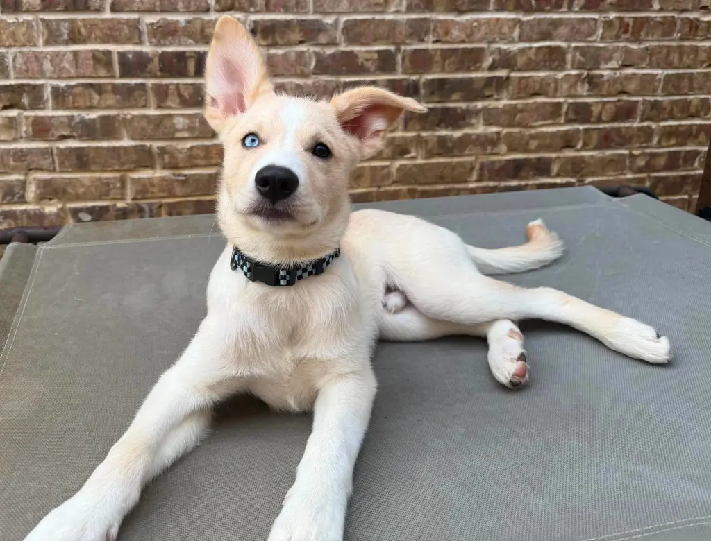 Murphy