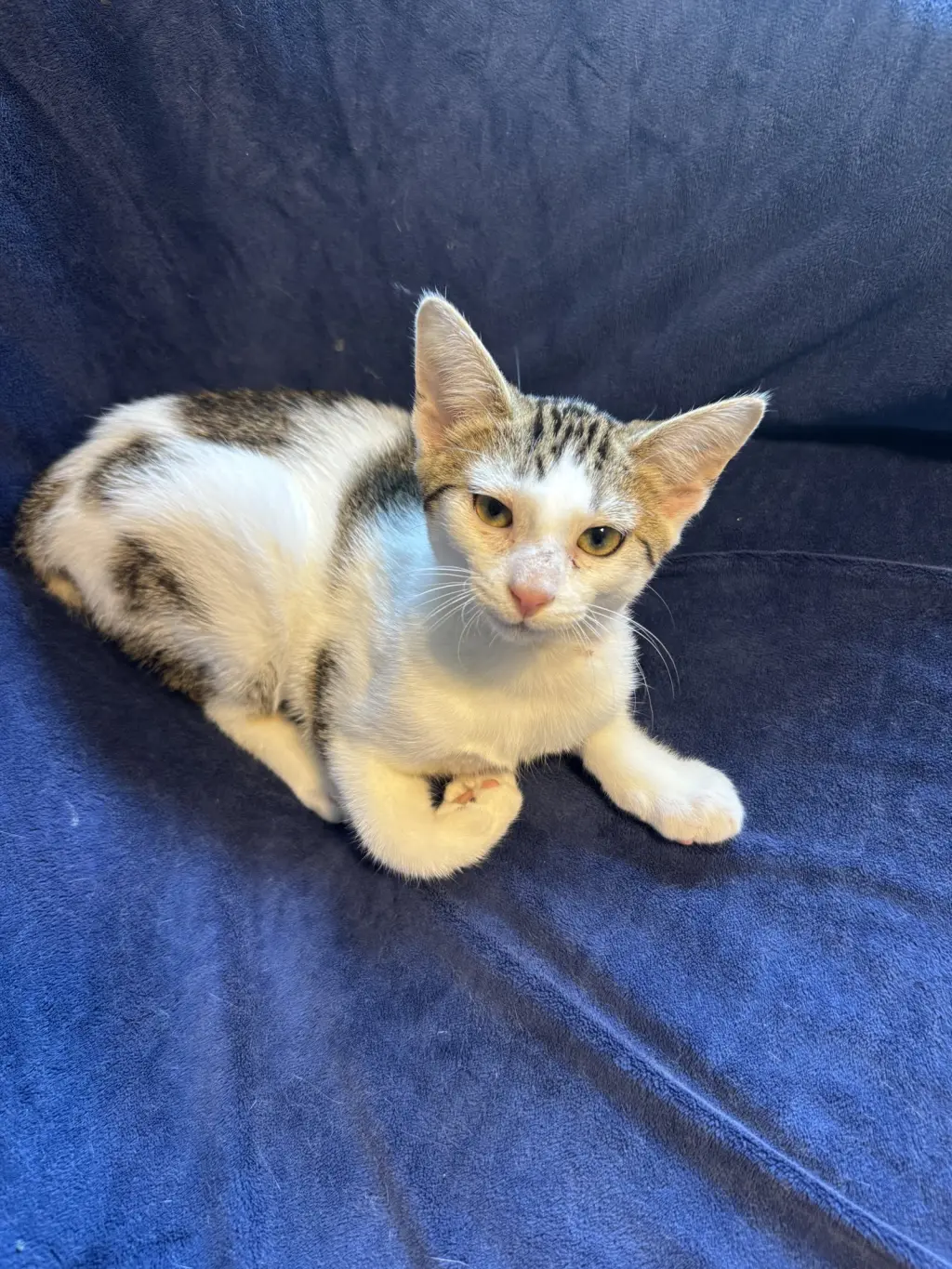 Leo