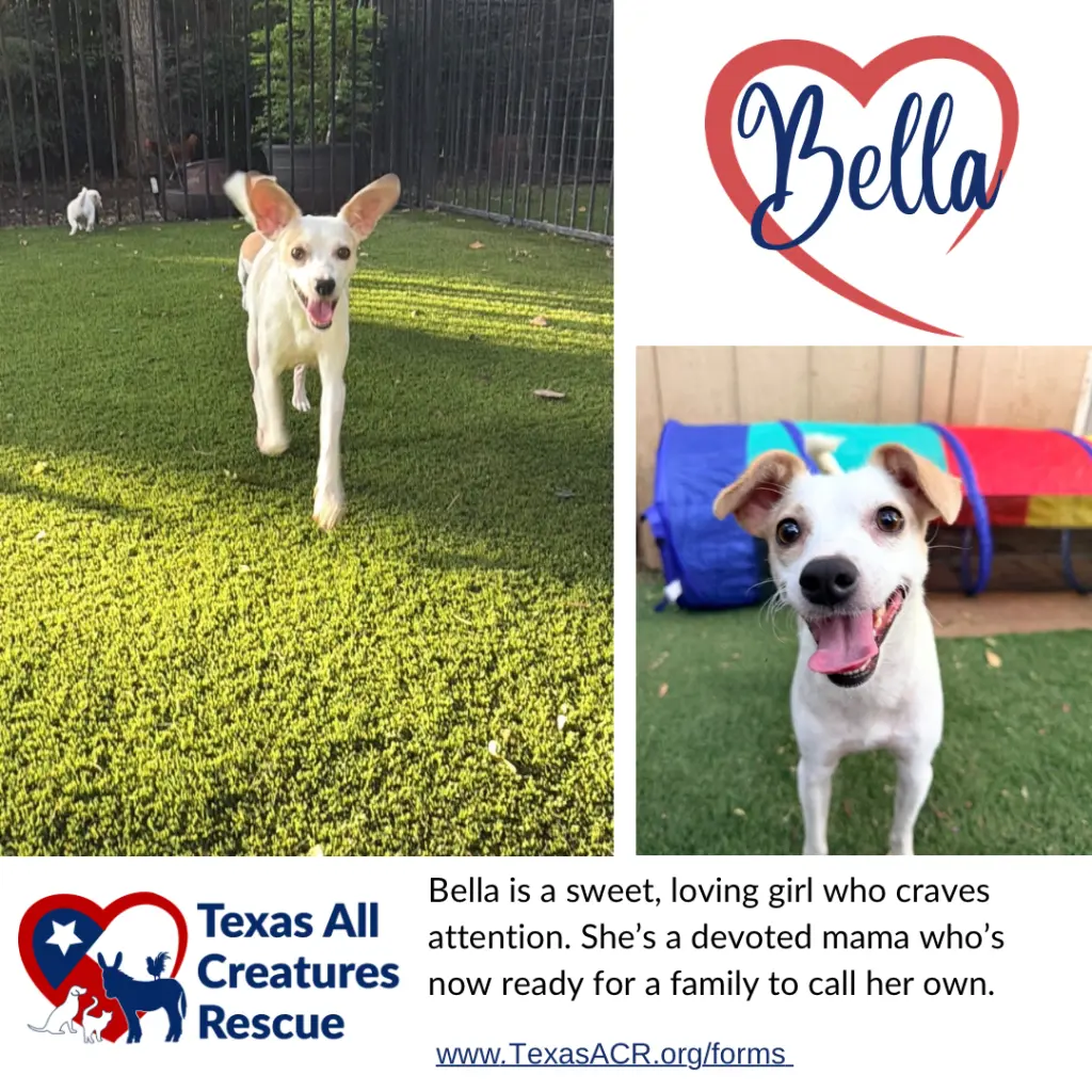 Bella