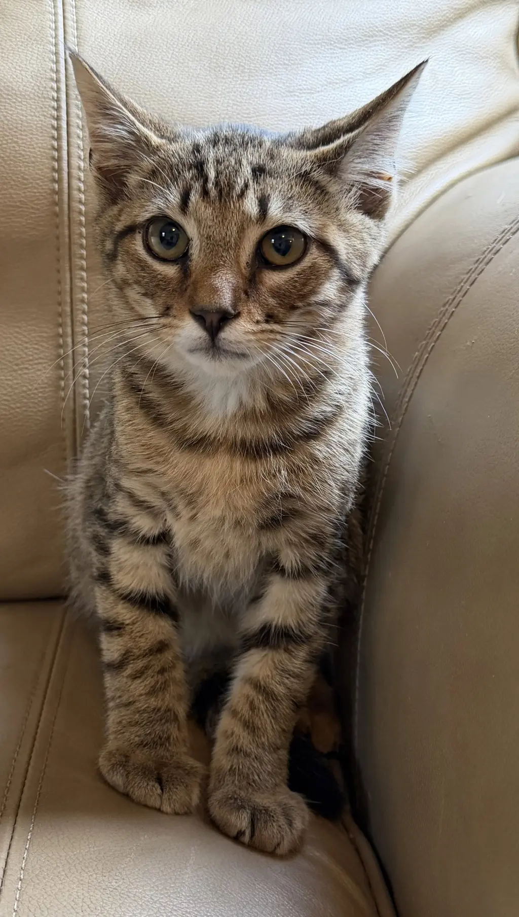 Tigger