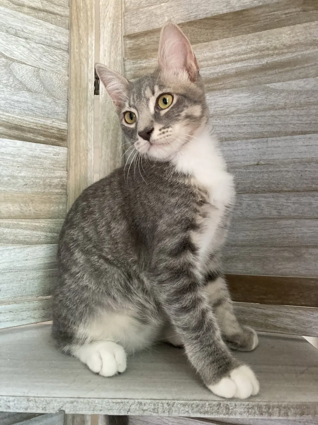 Max