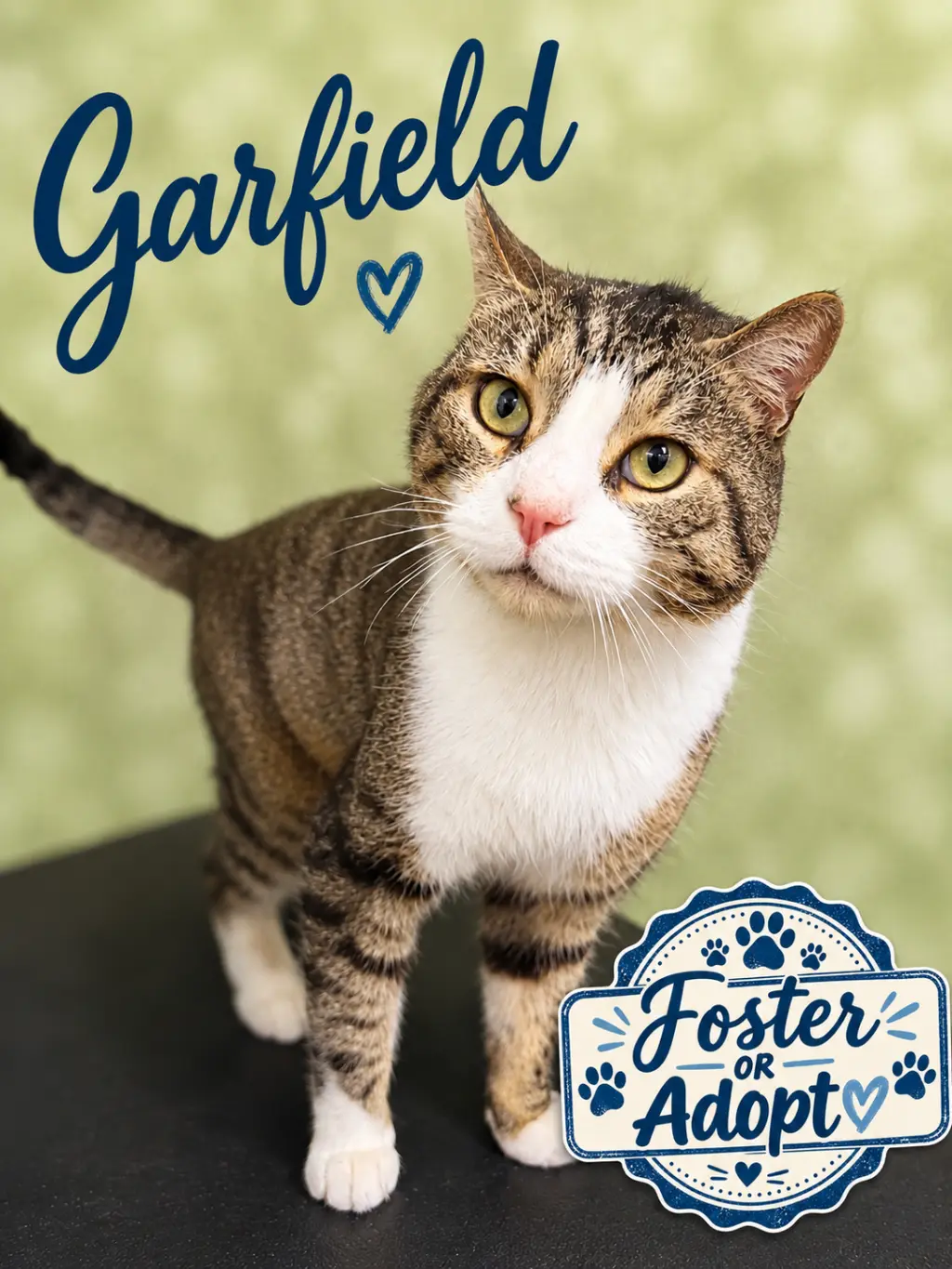 Garfield (FCID# 07/14/2026 - 130) Willow Grove