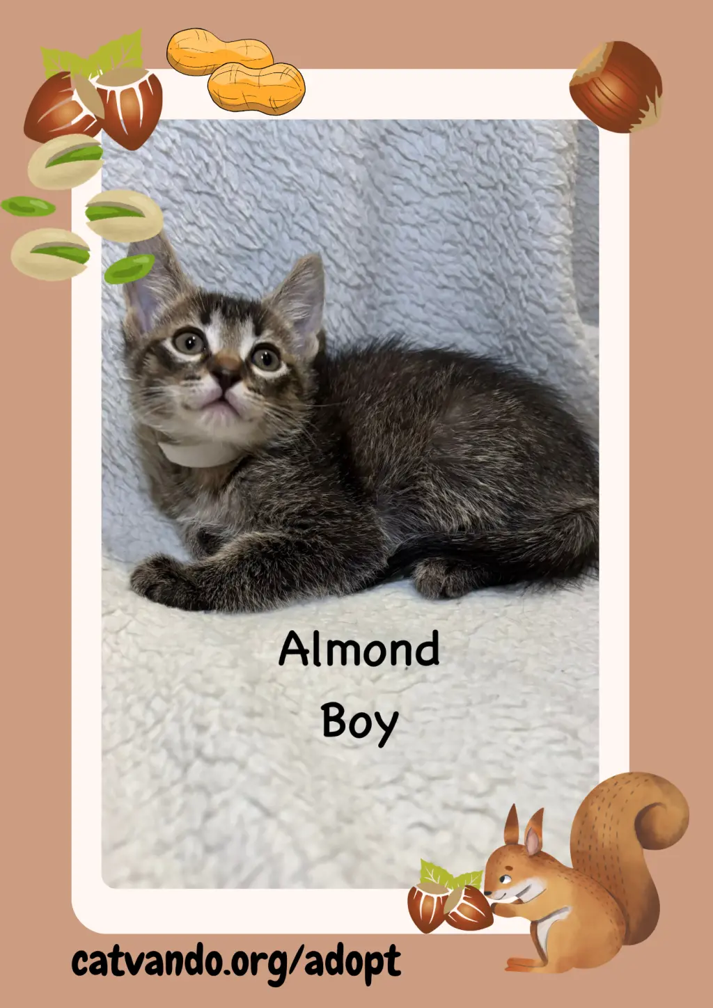 Almond