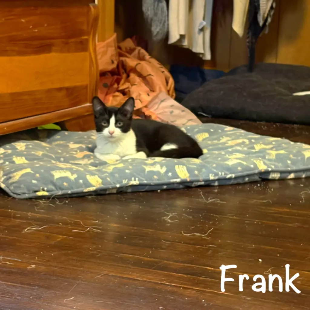 Frank