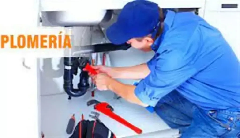PLOMERIA EN GENERAL