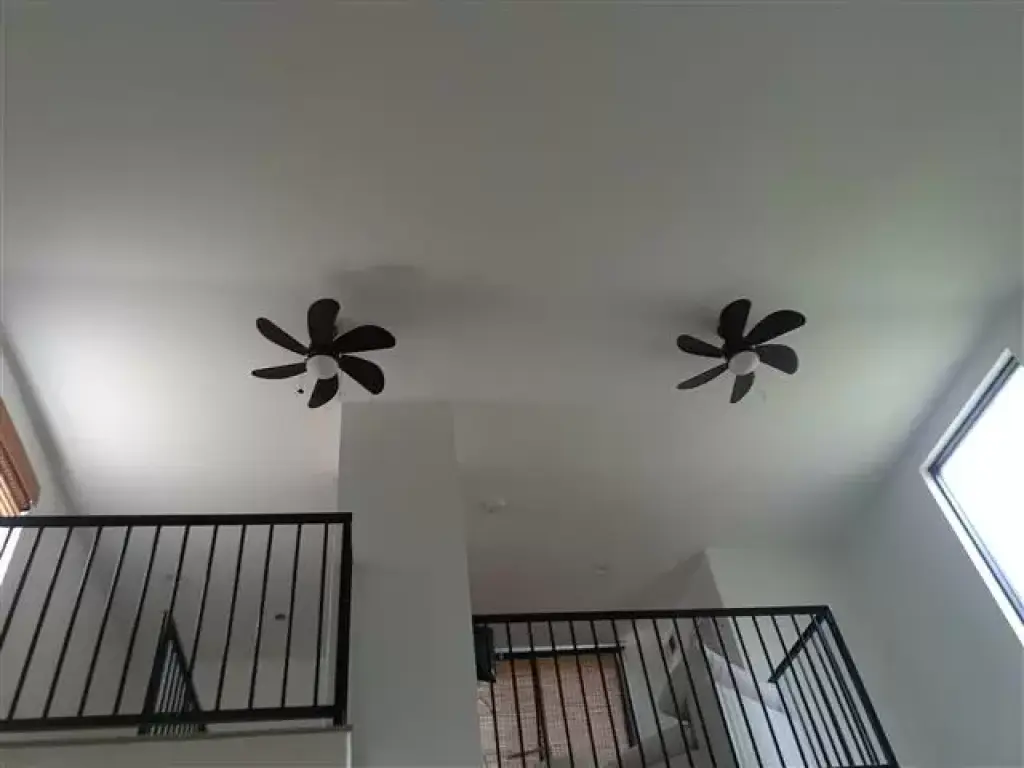 Pintura de todo tipo