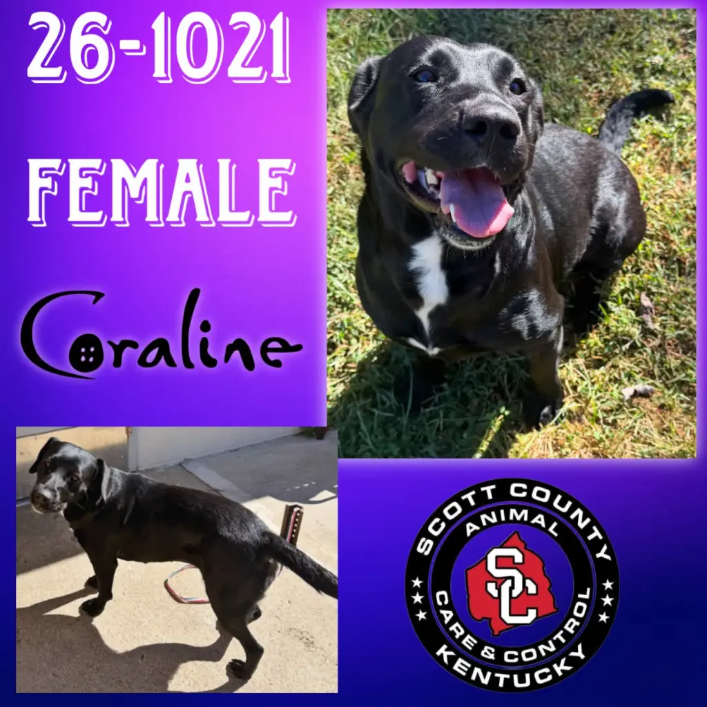 Coraline