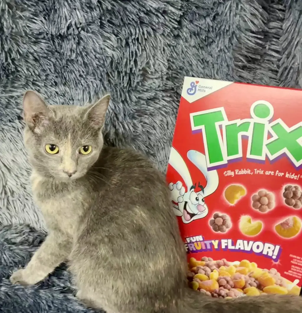 Trix