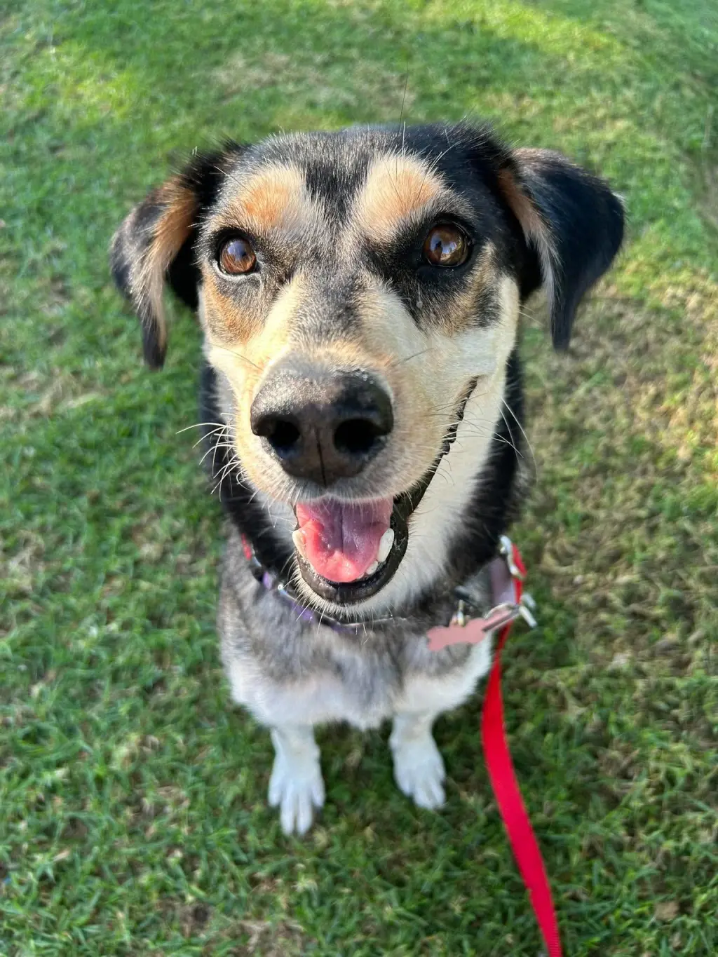 Heidi