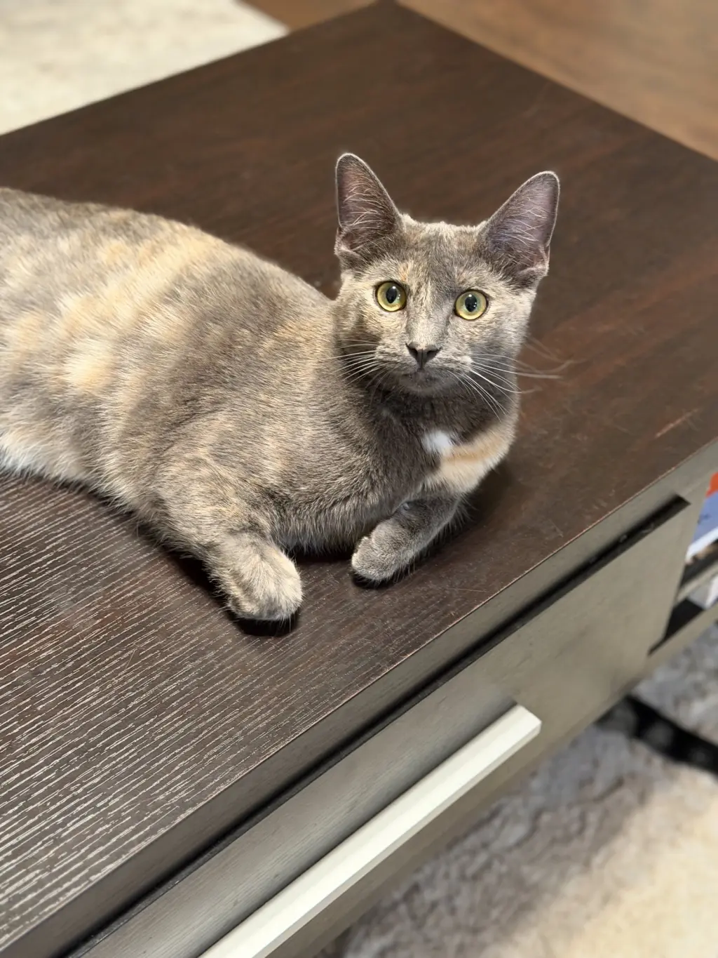 Luna A