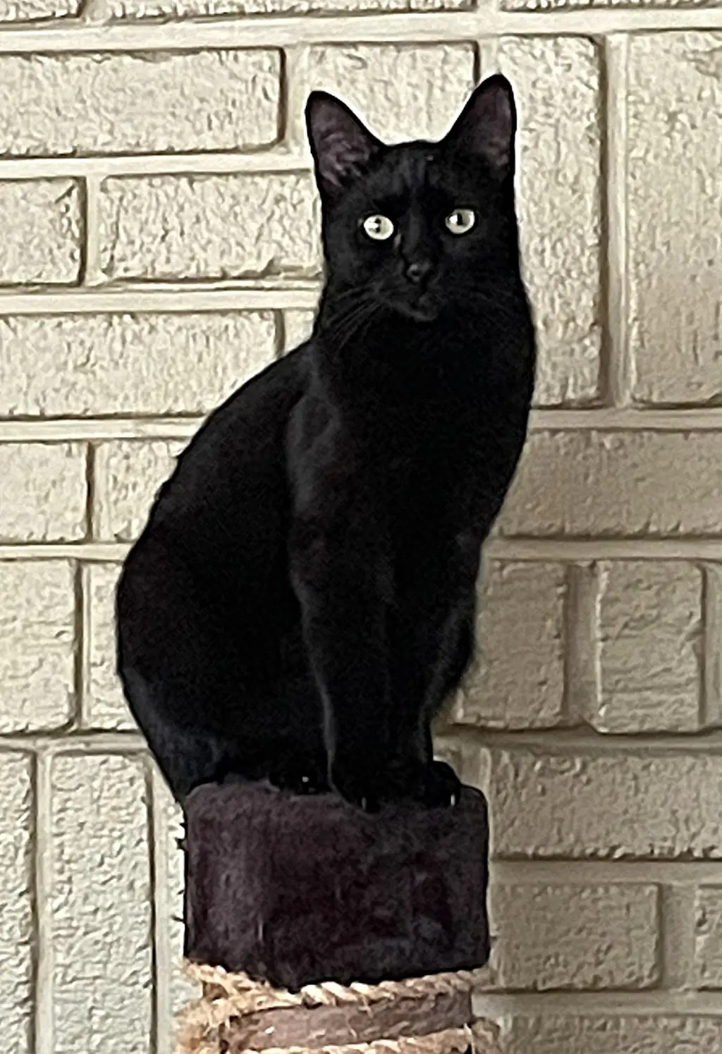 Eleanor