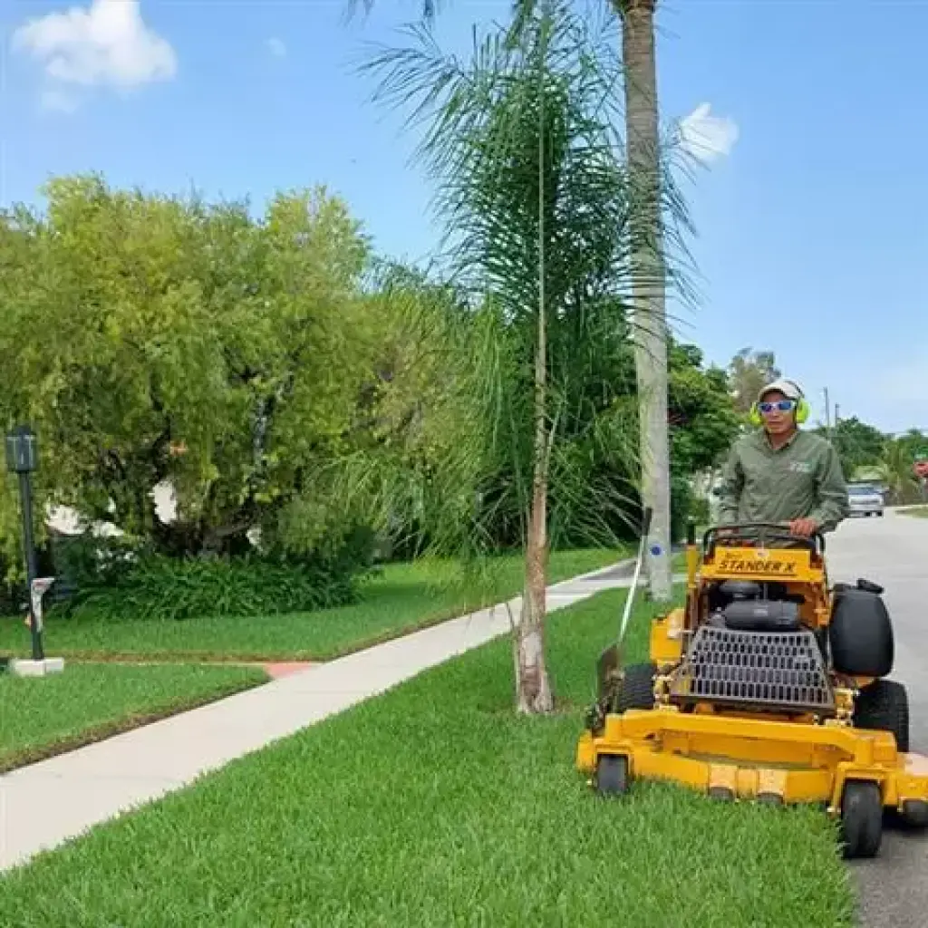 JARDINERO ECONÓMICO 🌳