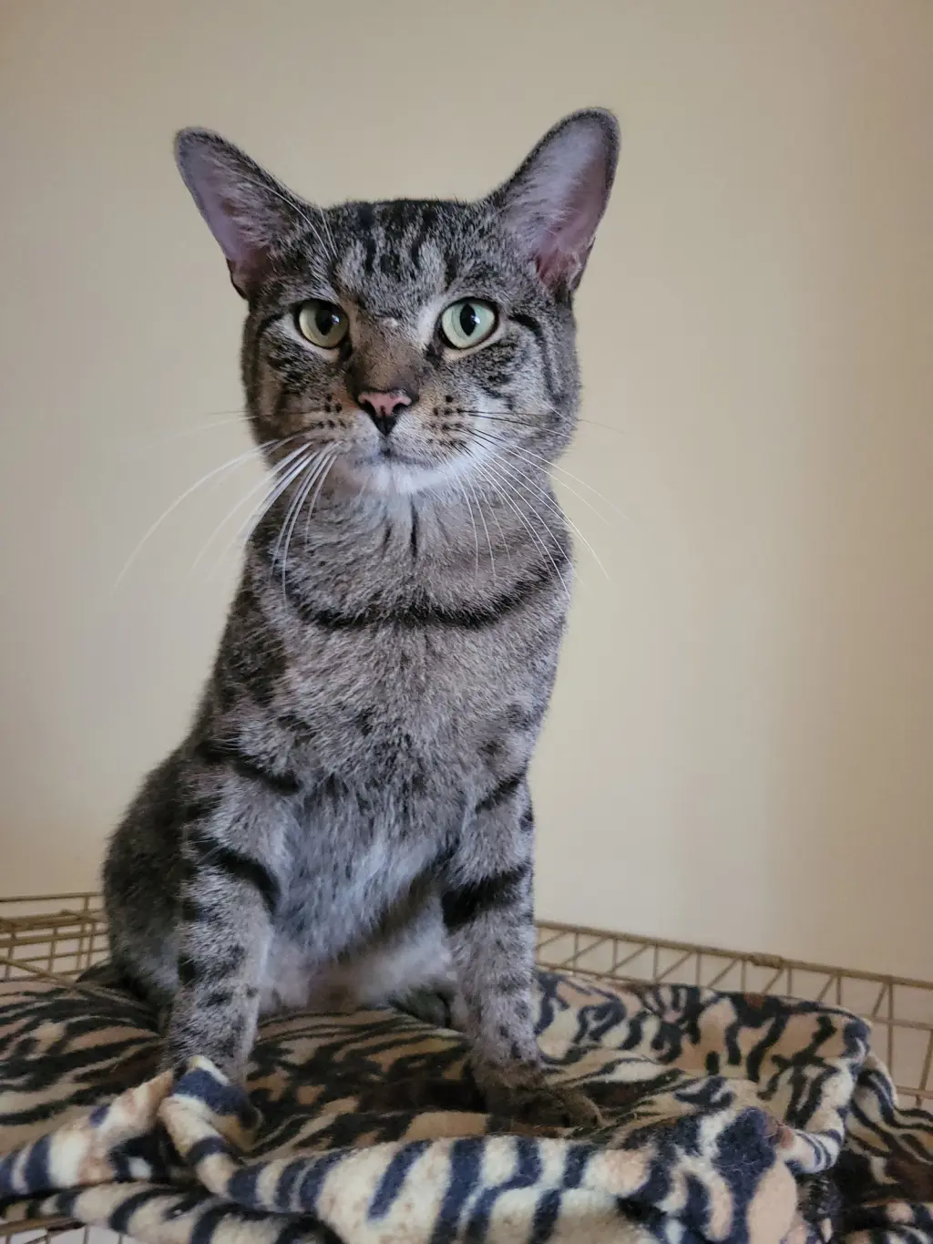 Tucker 1yr AVA 10/8