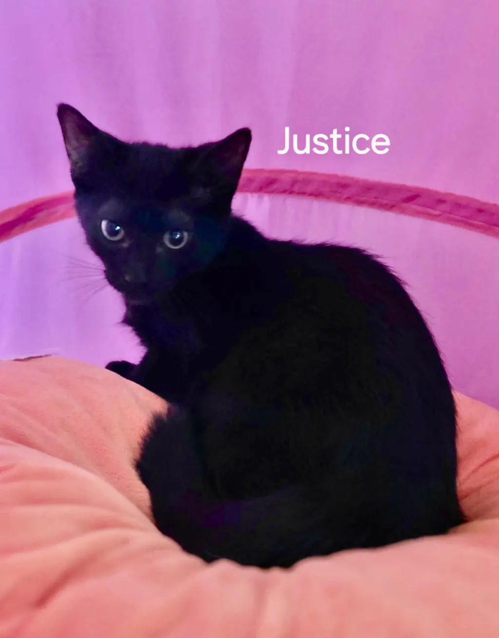 Justice