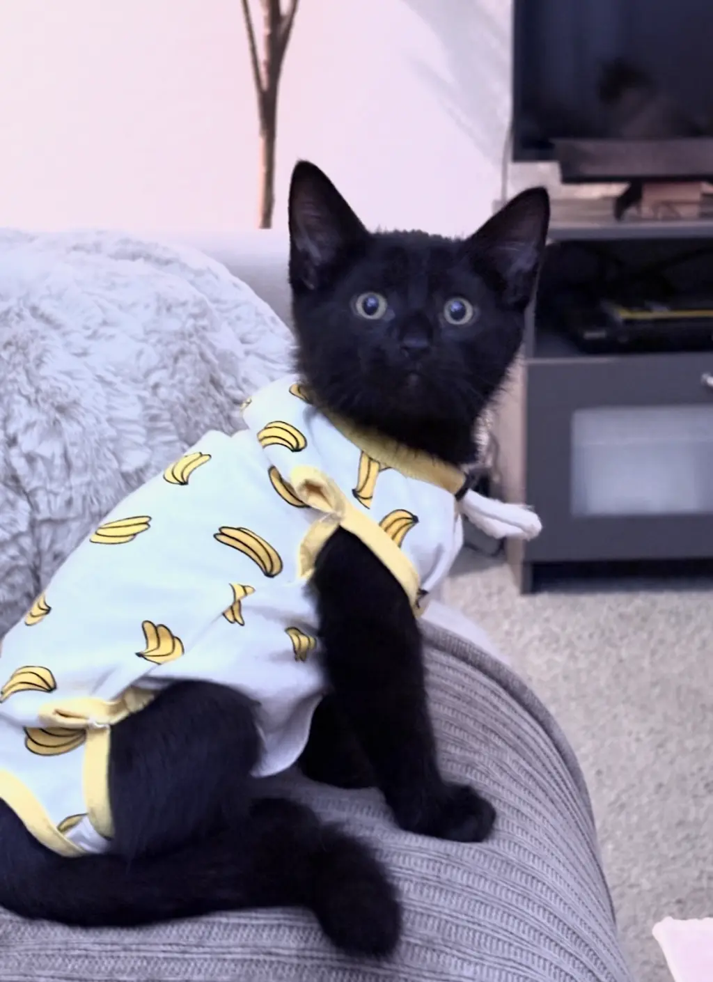 Binx