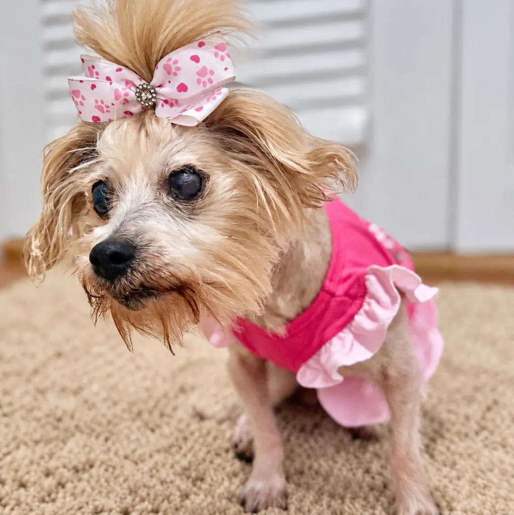 Ella
