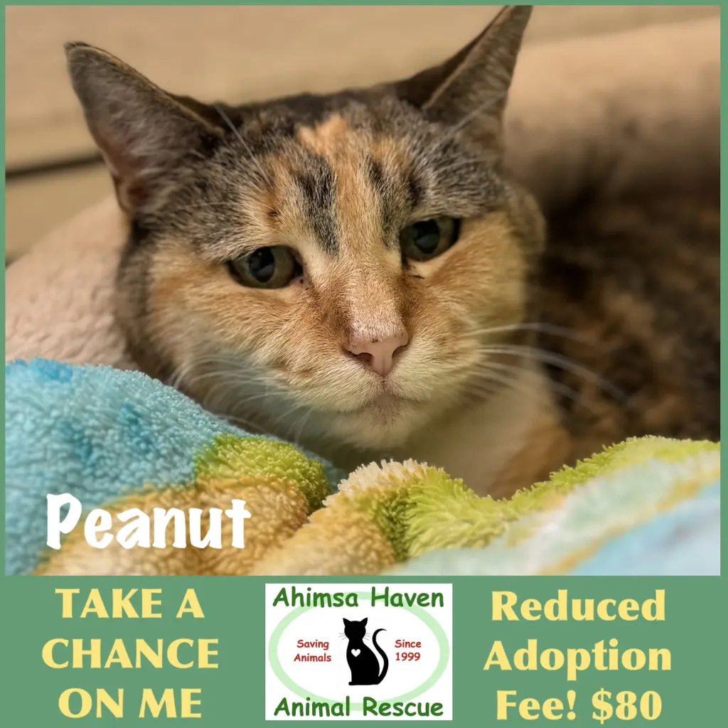 Peanut