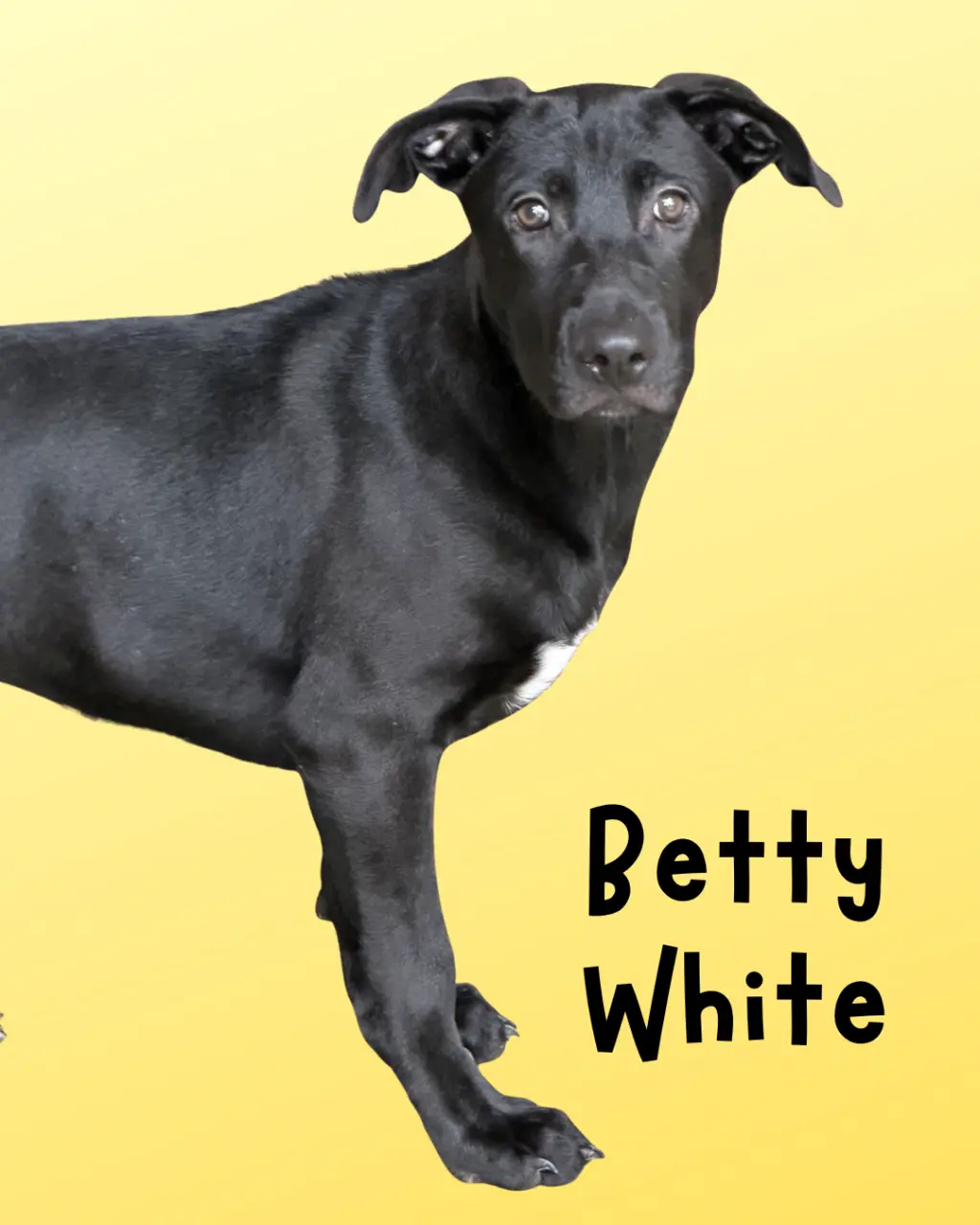 Betty White