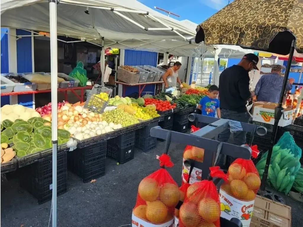 Mission Open: Air Market