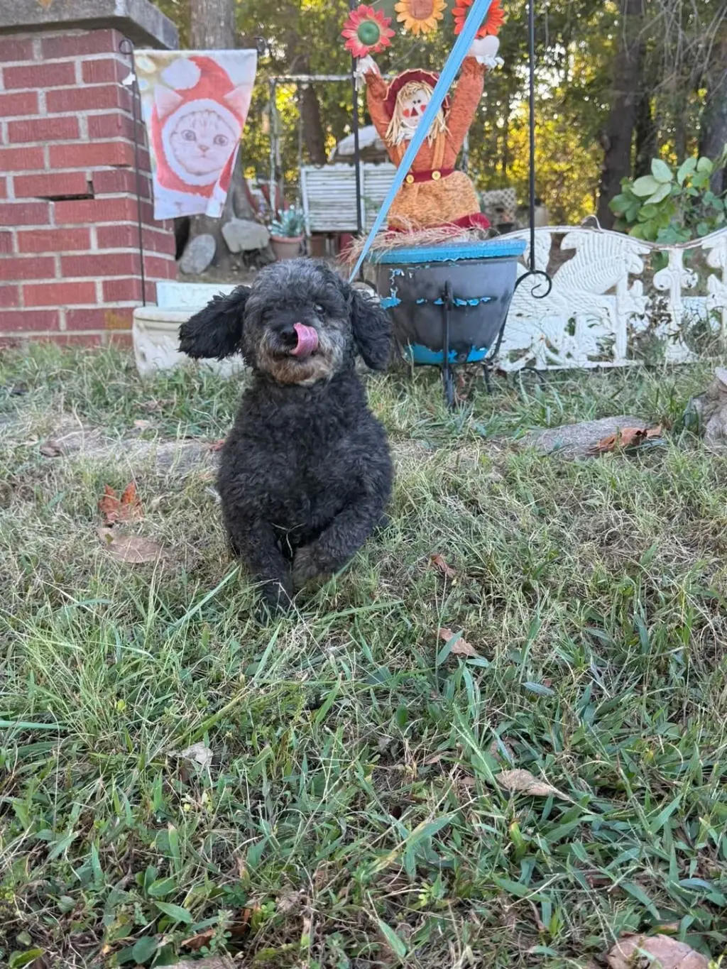 Betty