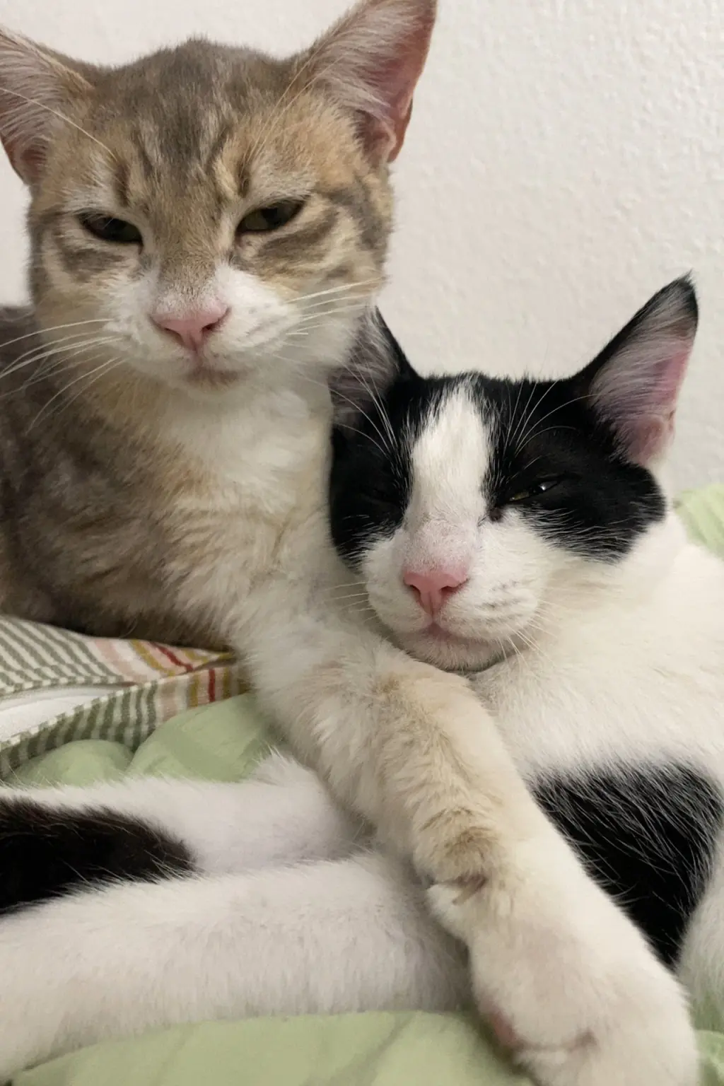 Sailor & Moon (Courtesy Post)