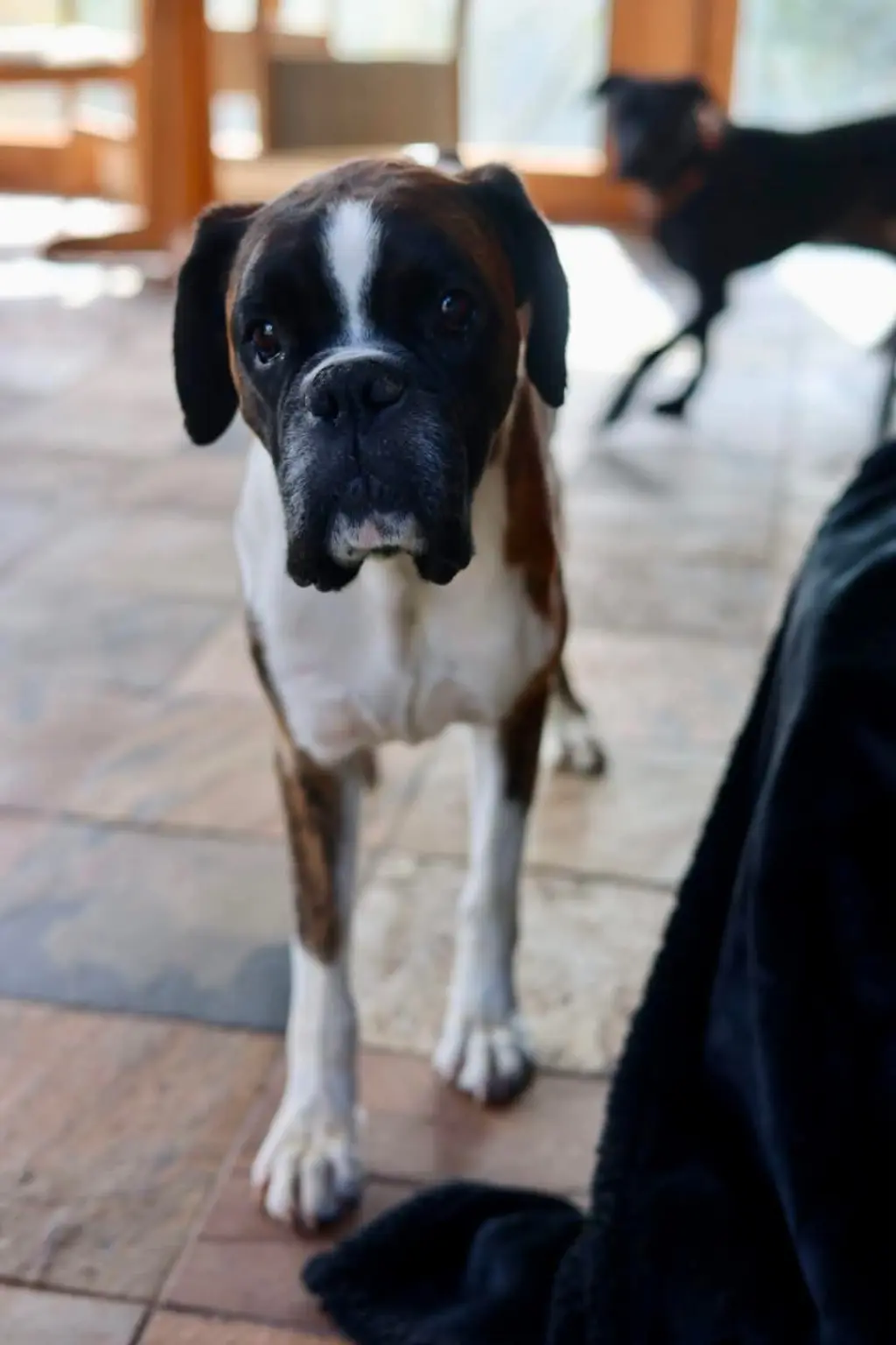 Billy