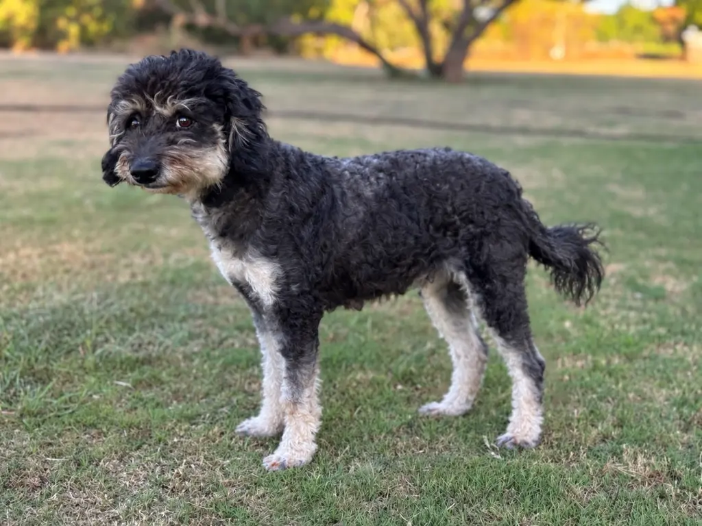 Emmie