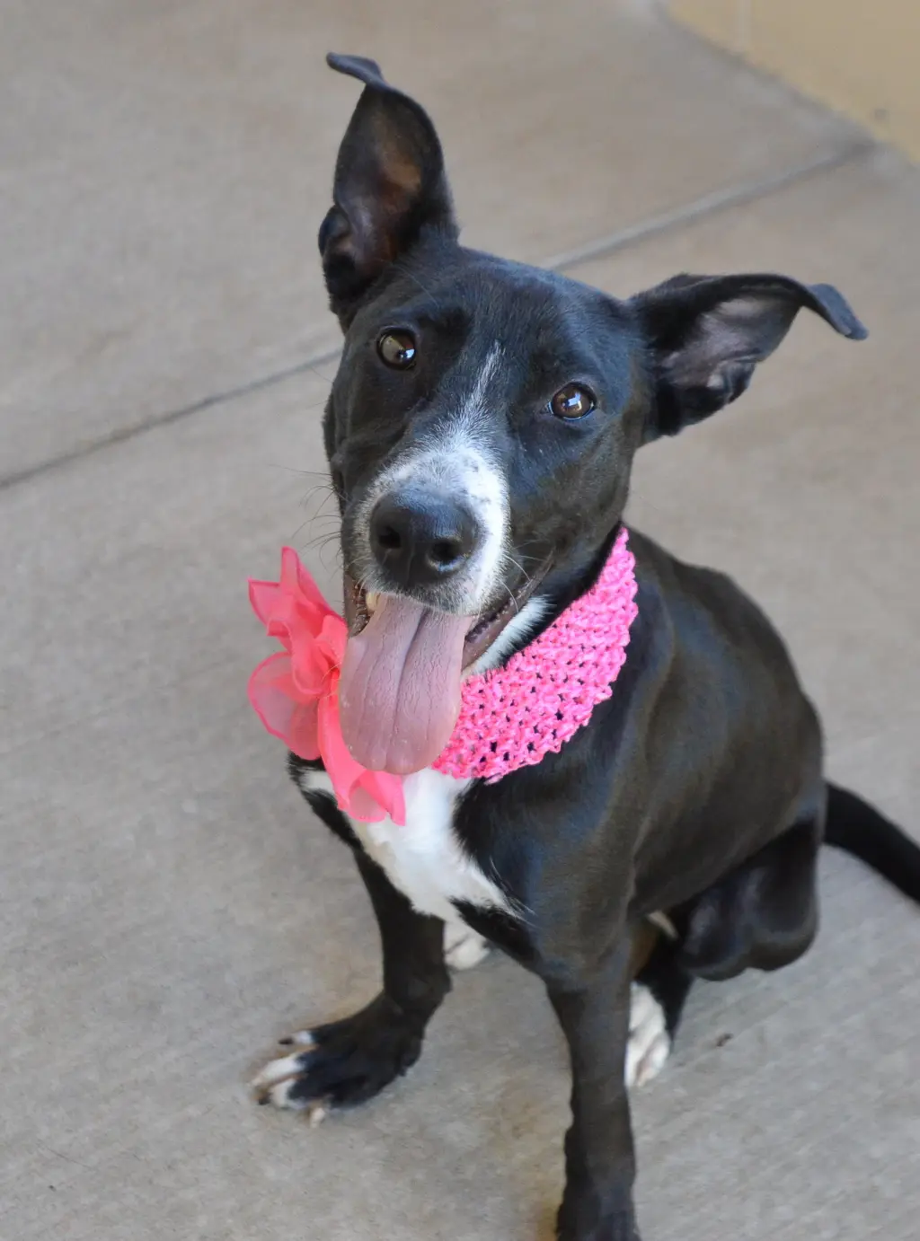 Potion (In Foster)