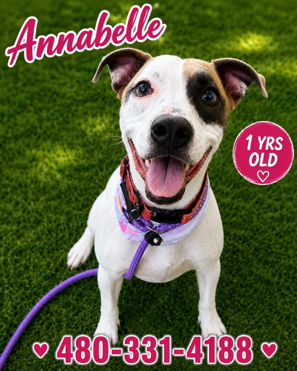 Annabelle (Courtesy post)