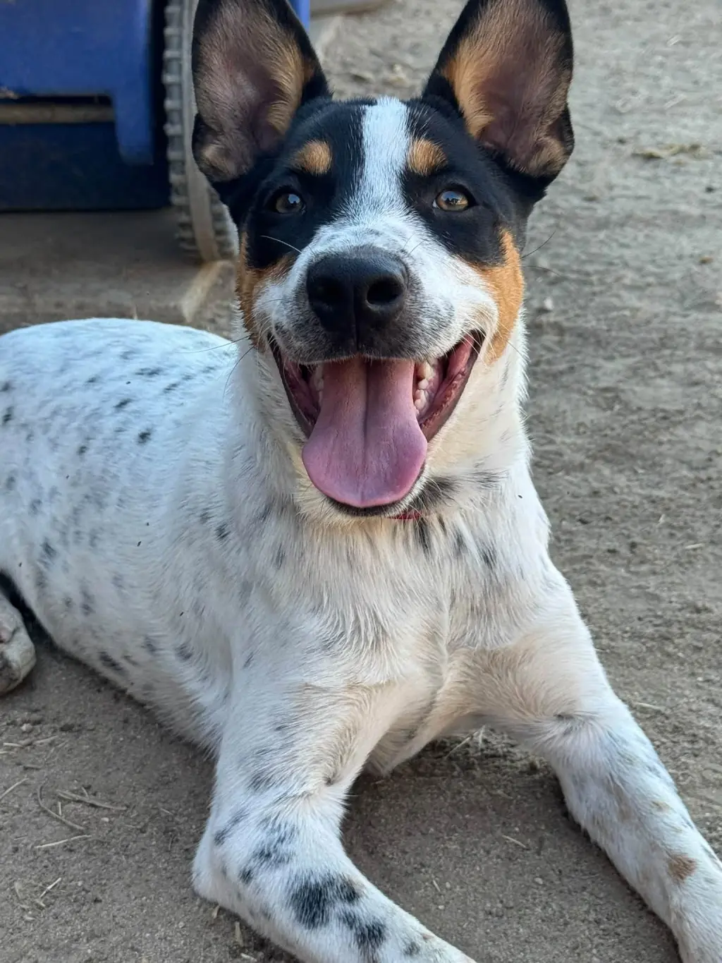 Luna