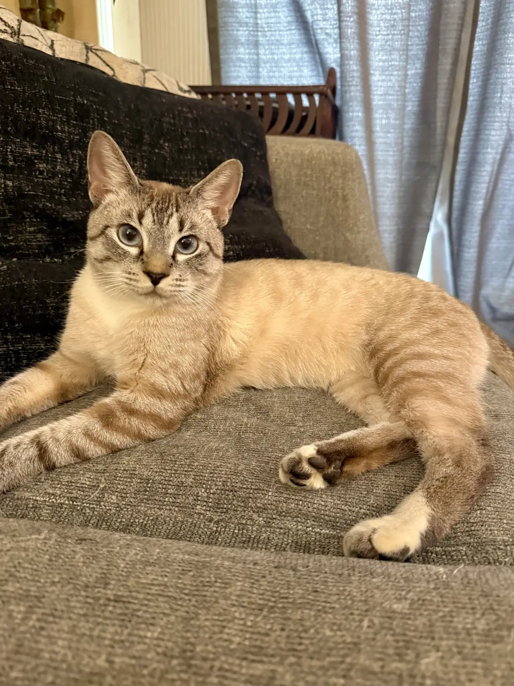 Flynn