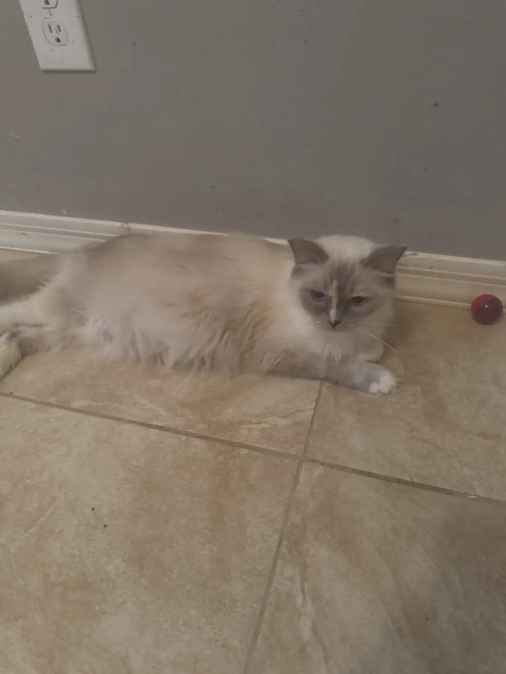 Kiki